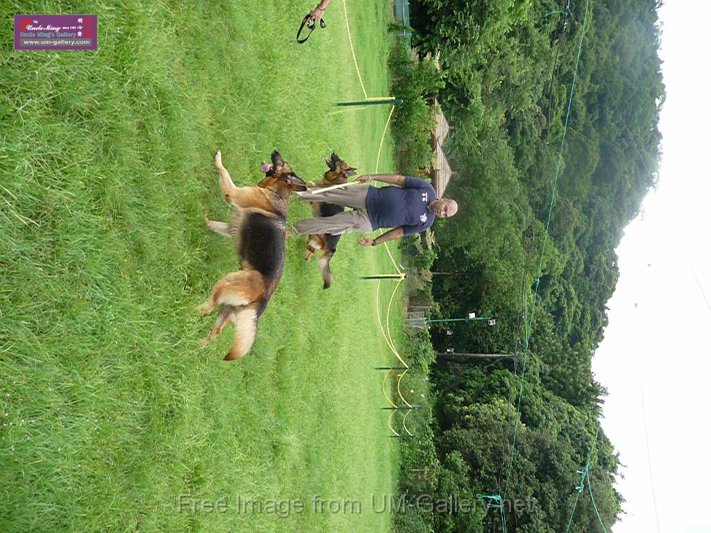 20130818jw_dog_training_P1140274.JPG