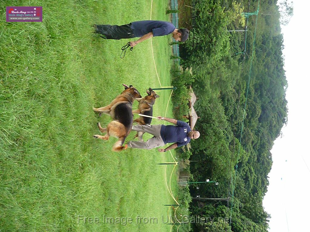 20130818jw_dog_training_P1140275.JPG