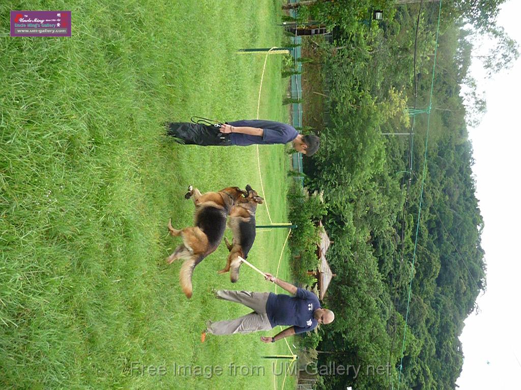 20130818jw_dog_training_P1140276.JPG