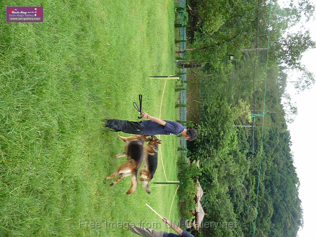 20130818jw_dog_training_P1140277.JPG