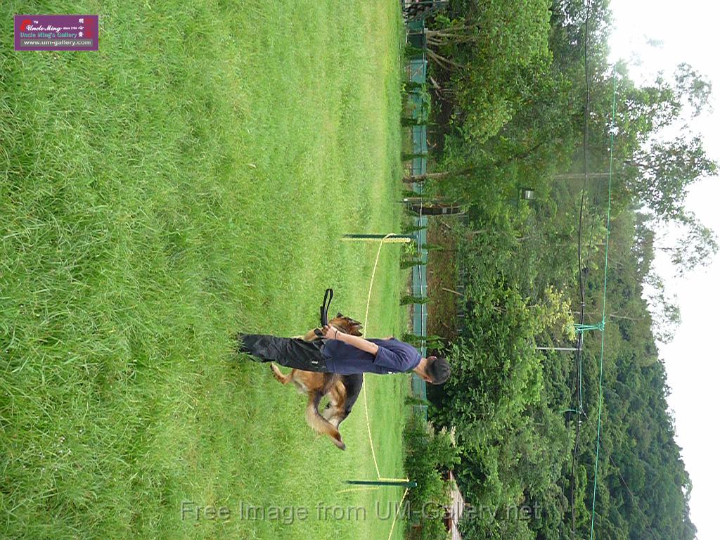 20130818jw_dog_training_P1140278.JPG