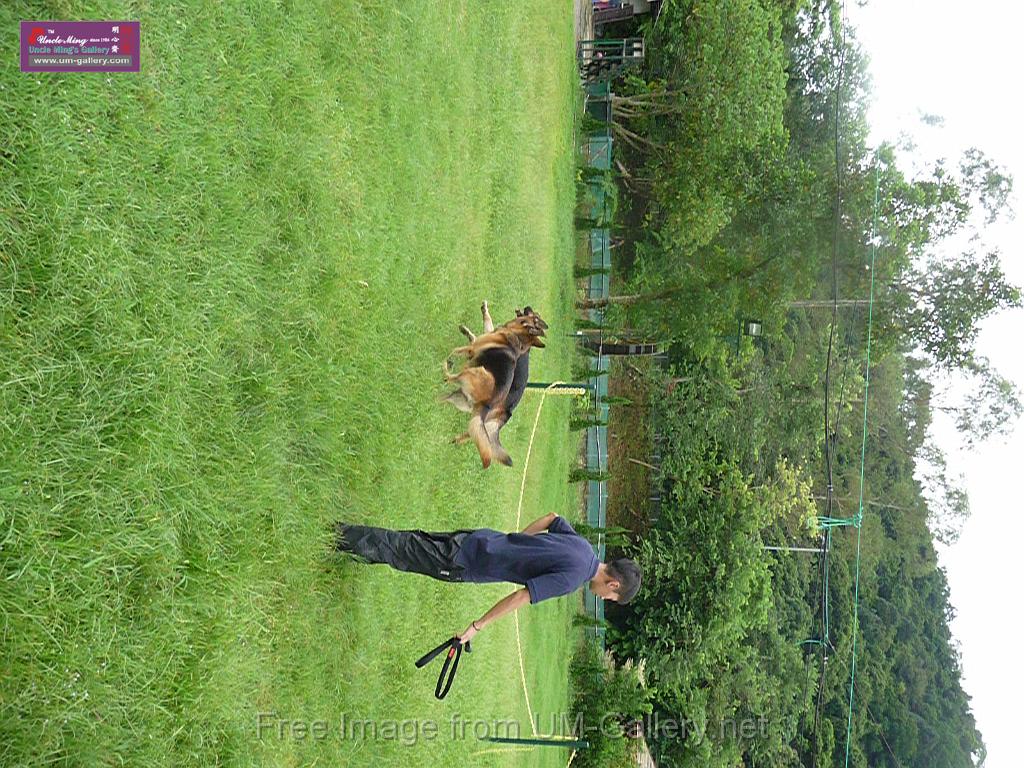 20130818jw_dog_training_P1140281.JPG