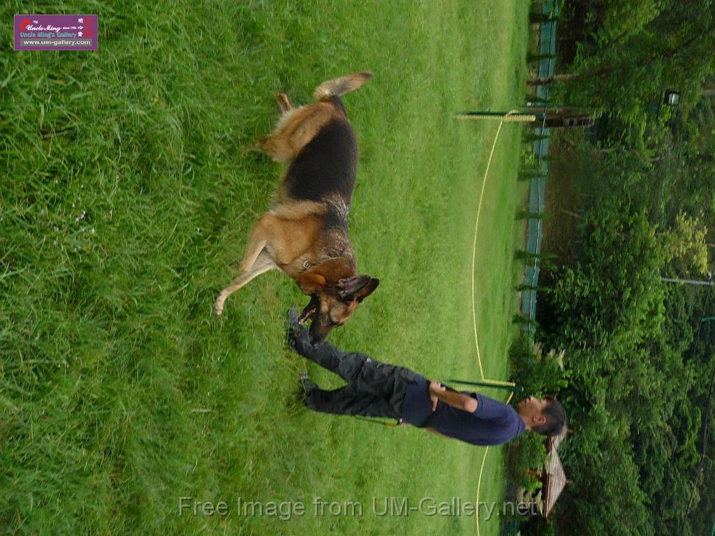 20130818jw_dog_training_P1140292.JPG