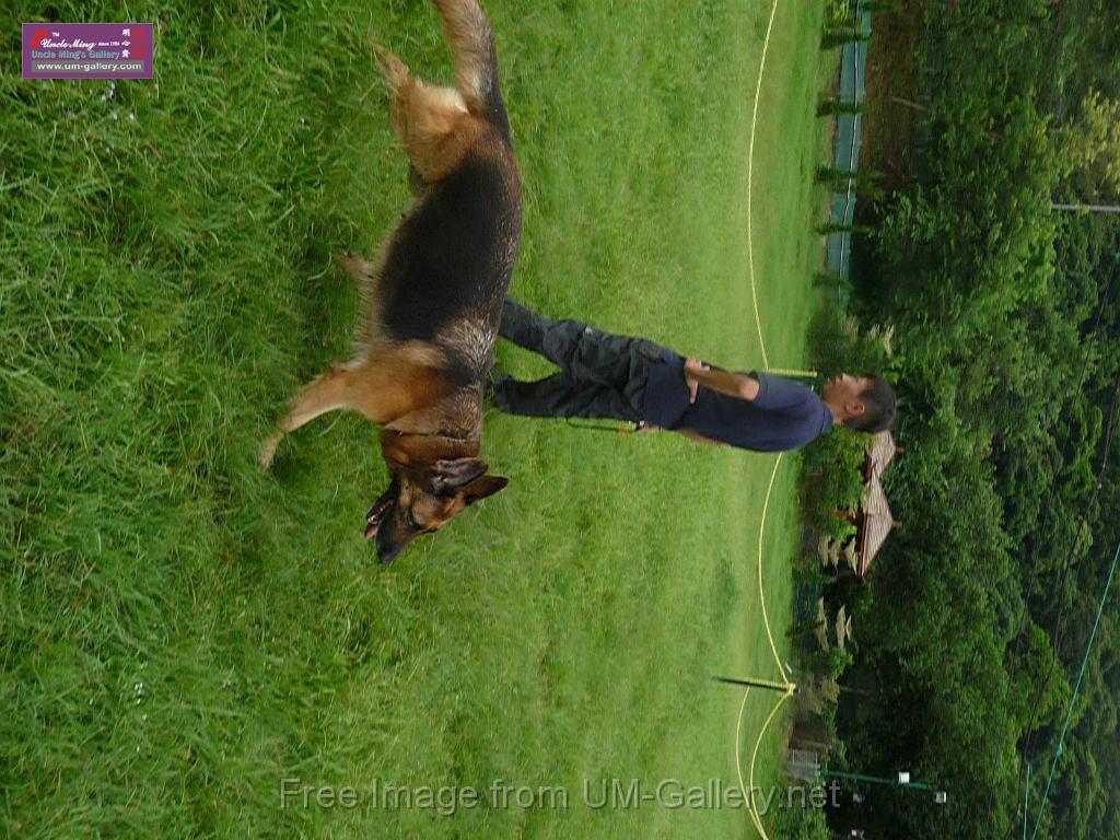 20130818jw_dog_training_P1140293.JPG