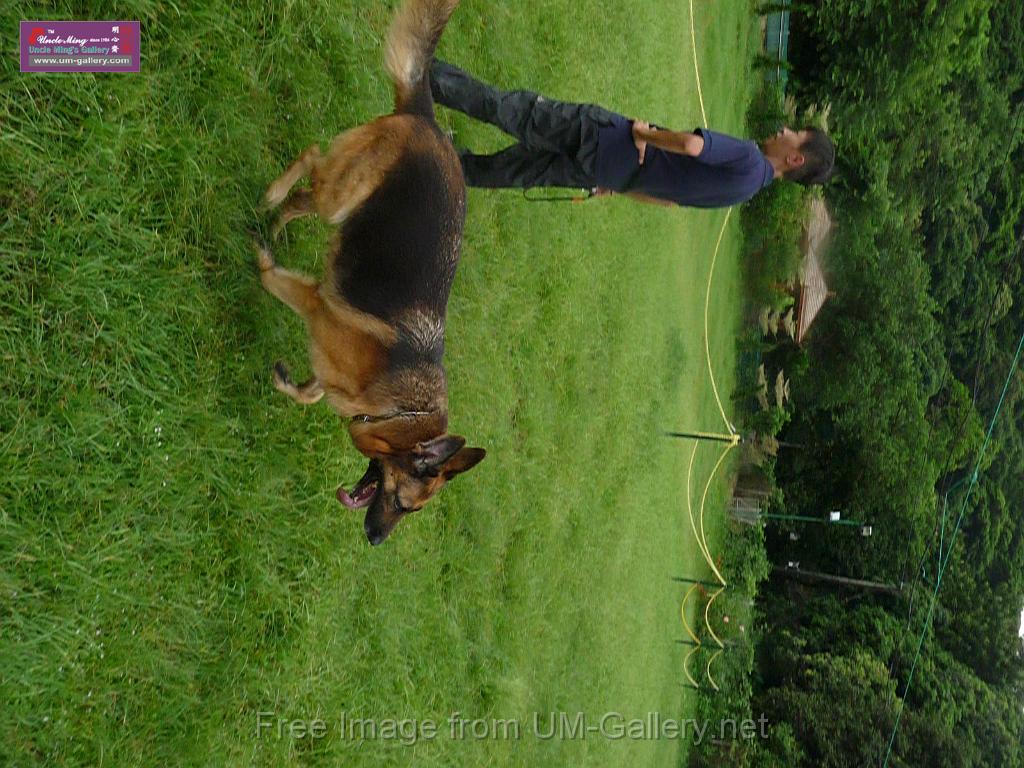 20130818jw_dog_training_P1140294.JPG