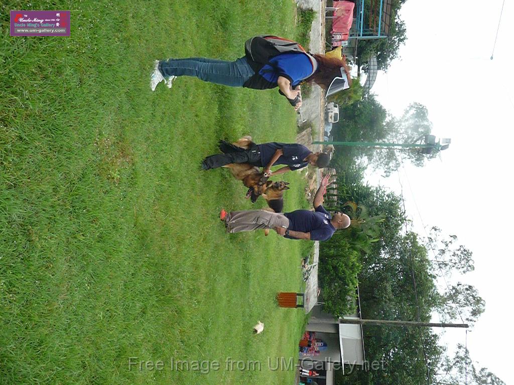 20130818jw_dog_training_P1140304.JPG