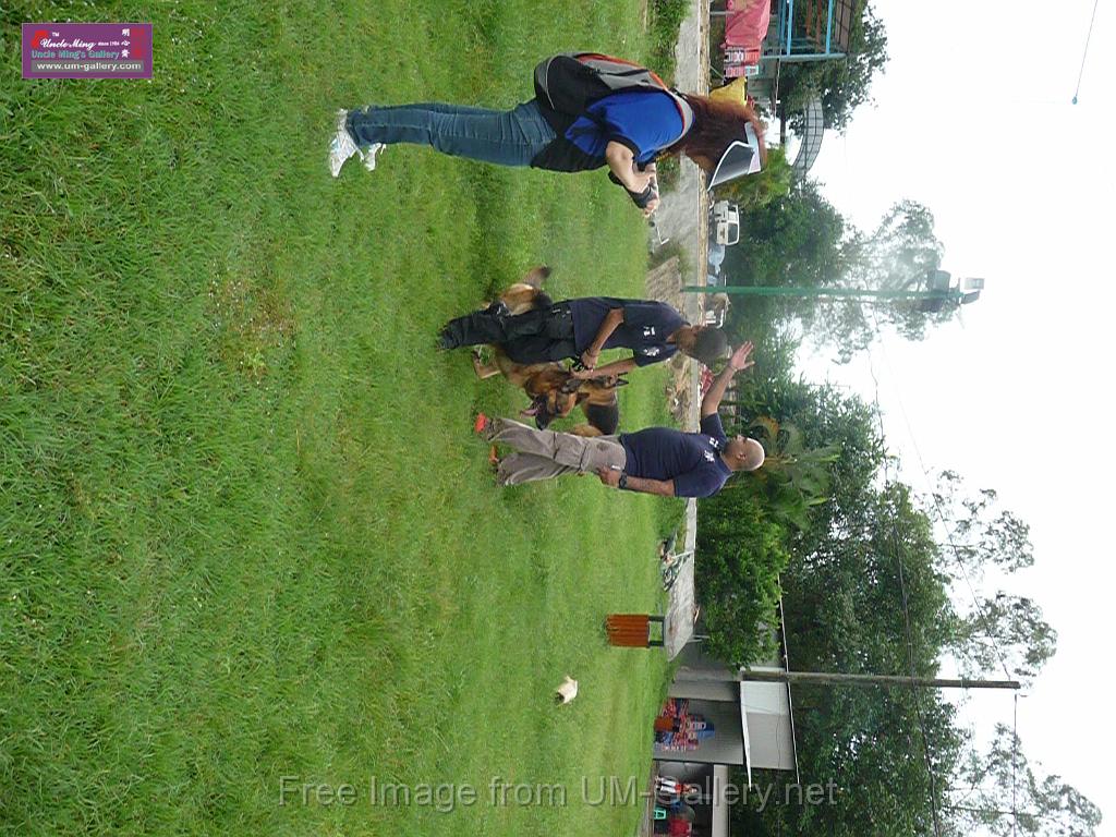 20130818jw_dog_training_P1140305.JPG