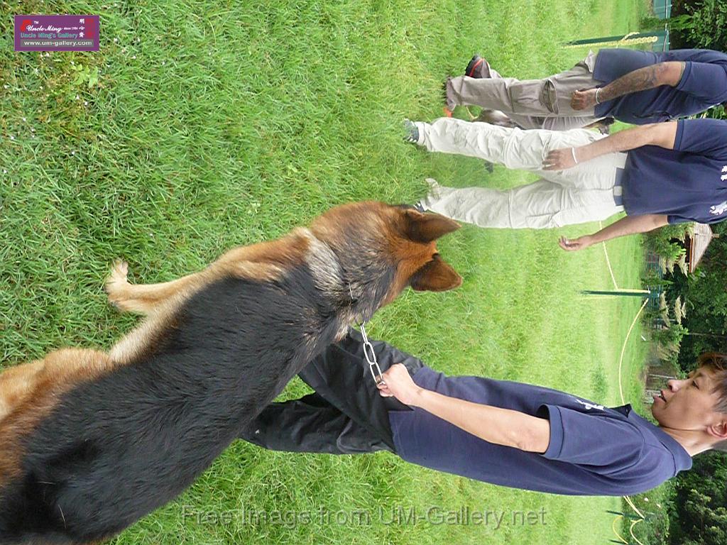 20130818jw_dog_training_P1140306.JPG