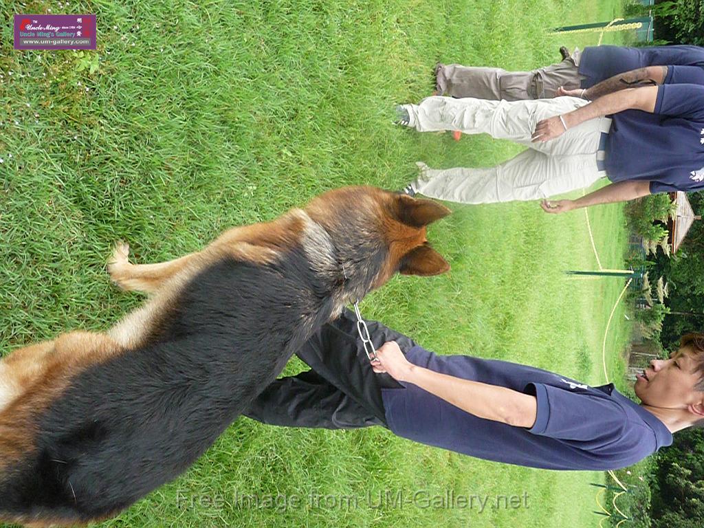 20130818jw_dog_training_P1140307.JPG