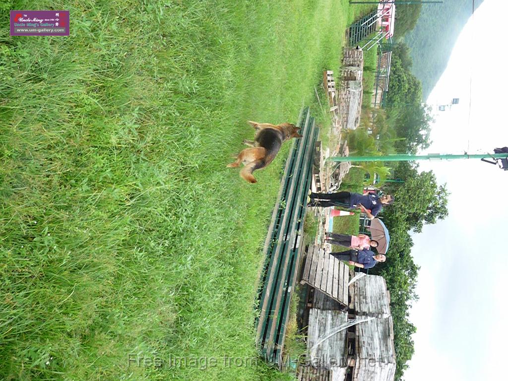 20130818jw_dog_training_P1140317.JPG