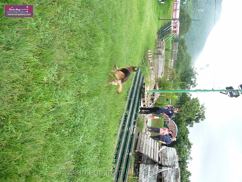 20130818jw_dog_training_P1140318.JPG