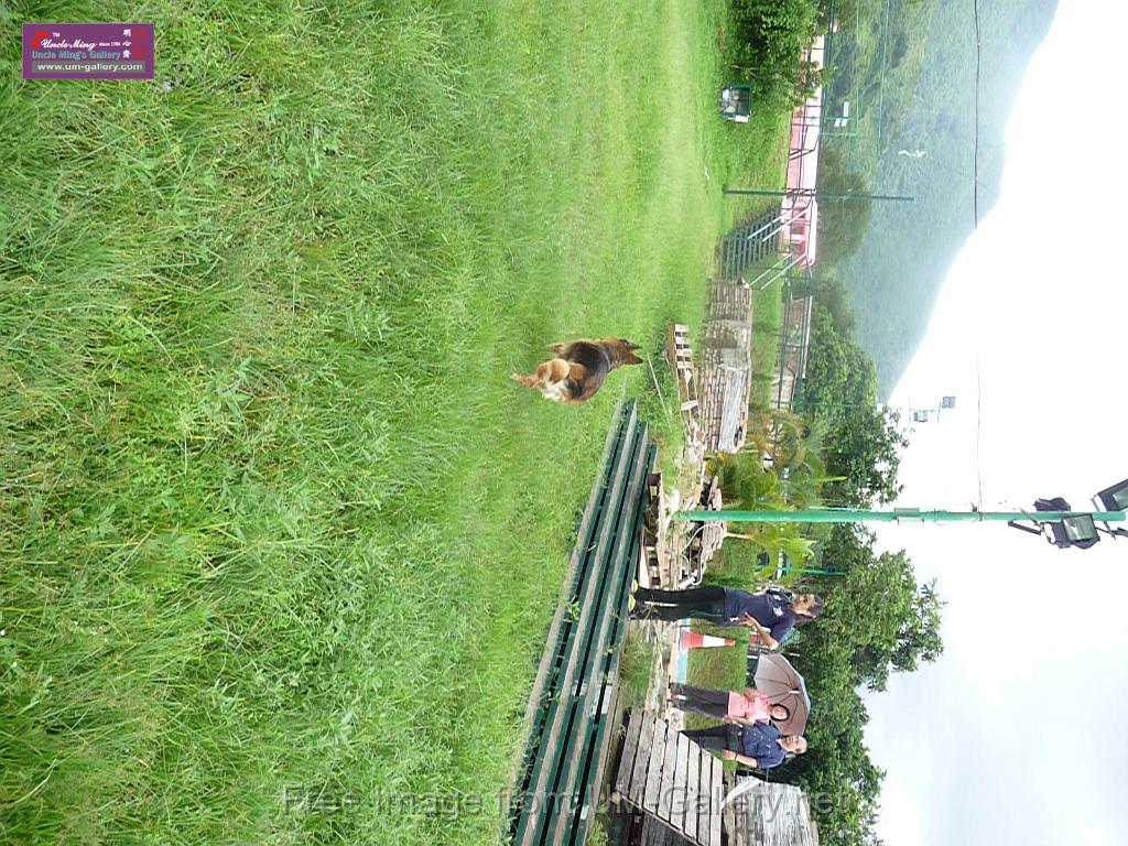 20130818jw_dog_training_P1140320.JPG