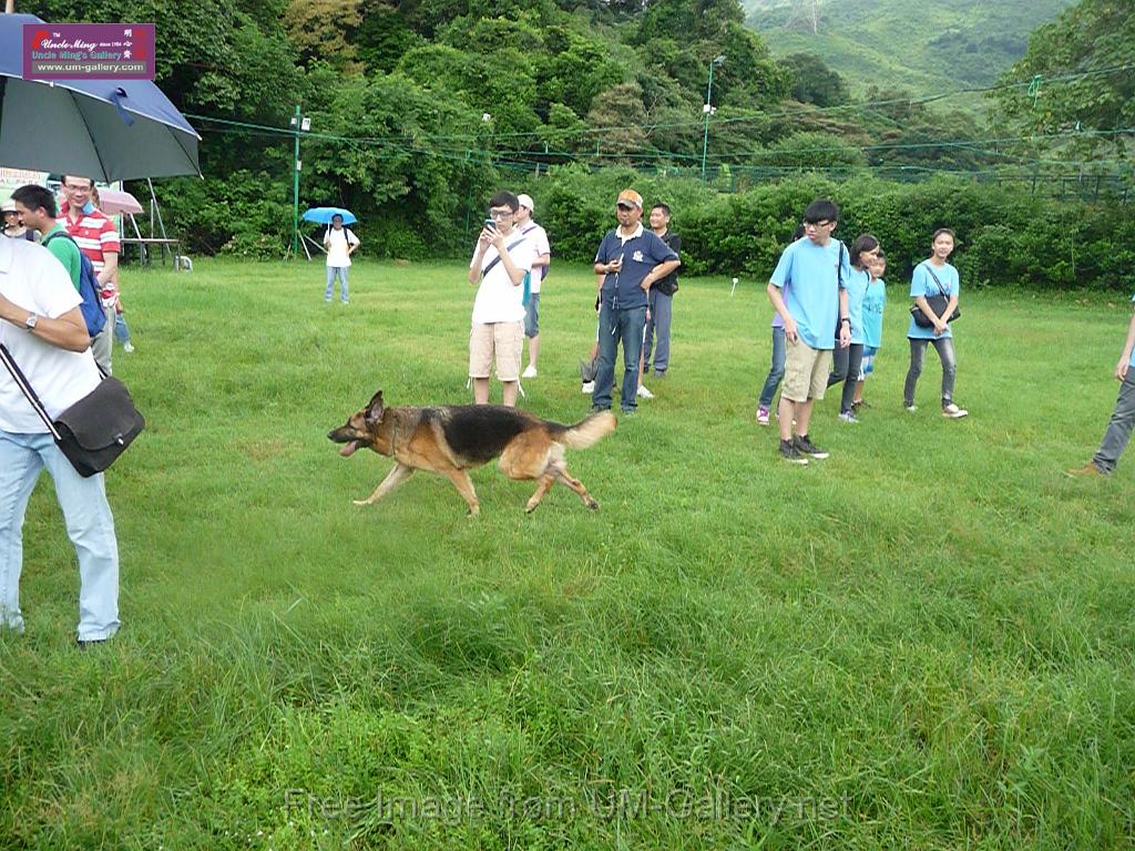 20130818jw_dog_training_P1140325.JPG