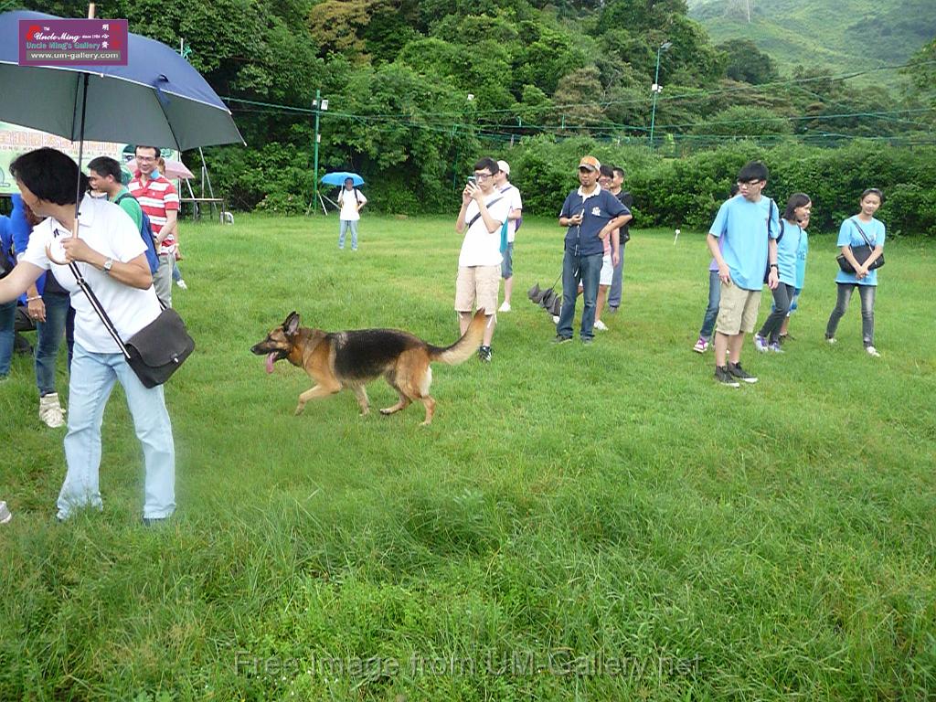 20130818jw_dog_training_P1140326.JPG