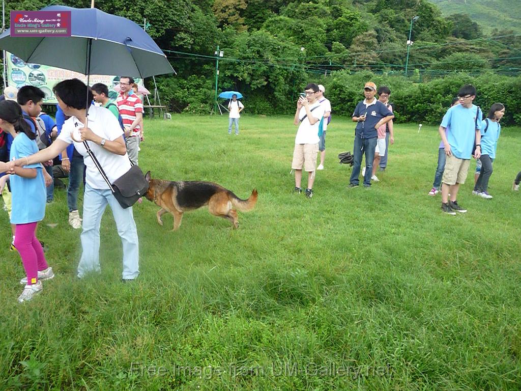 20130818jw_dog_training_P1140327.JPG