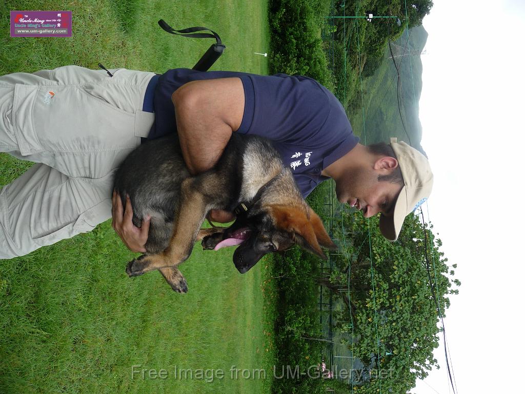 20130818jw_dog_training_P1140338.JPG