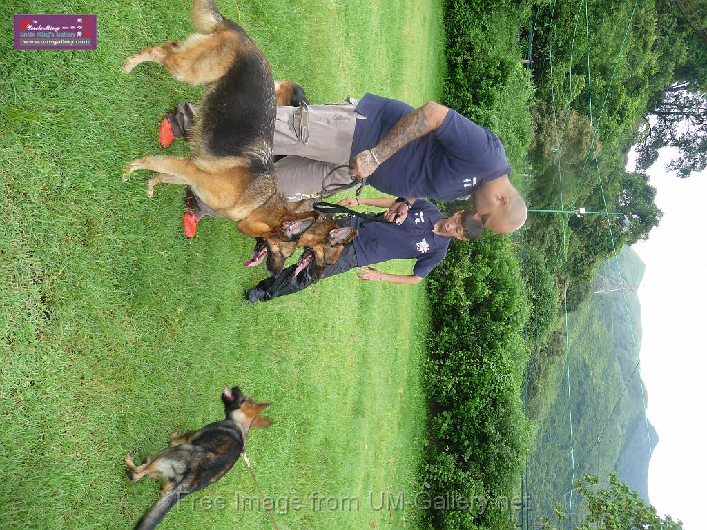 20130818jw_dog_training_P1140339.JPG