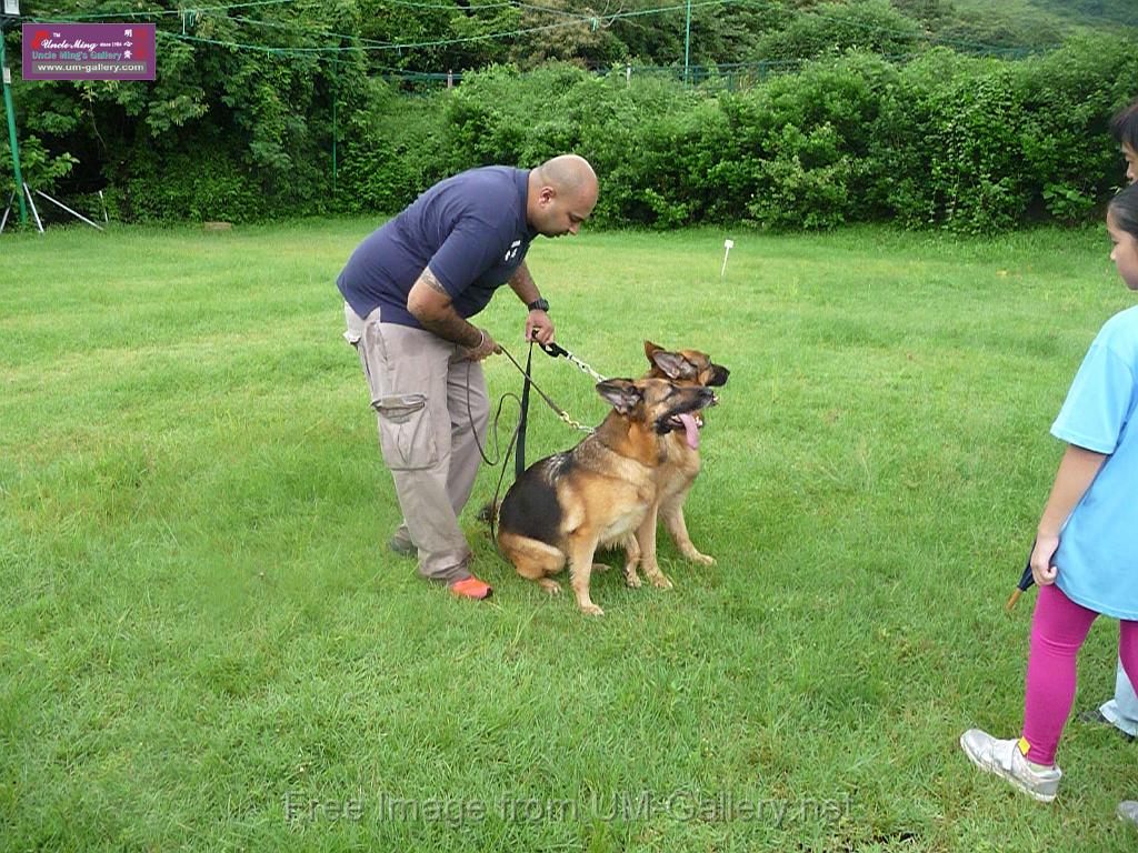 20130818jw_dog_training_P1140340.JPG