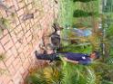 20130818jw_dog_training_P1140074