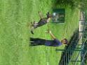 20130818jw_dog_training_P1140079