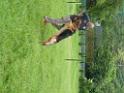 20130818jw_dog_training_P1140105