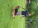 20130818jw_dog_training_P1140106