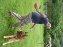 20130818jw_dog_training_P1140108