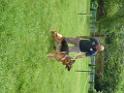 20130818jw_dog_training_P1140110