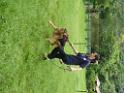 20130818jw_dog_training_P1140112