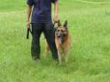 20130818jw_dog_training_P1140117