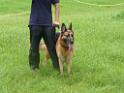 20130818jw_dog_training_P1140118