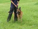 20130818jw_dog_training_P1140120