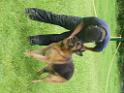 20130818jw_dog_training_P1140123