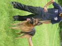 20130818jw_dog_training_P1140124