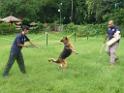 20130818jw_dog_training_P1140132