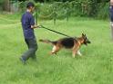 20130818jw_dog_training_P1140133