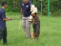 20130818jw_dog_training_P1140135