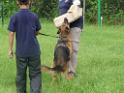 20130818jw_dog_training_P1140137