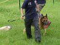 20130818jw_dog_training_P1140138