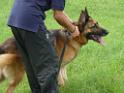 20130818jw_dog_training_P1140139