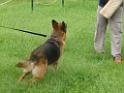 20130818jw_dog_training_P1140140