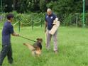 20130818jw_dog_training_P1140142