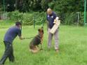 20130818jw_dog_training_P1140144