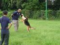 20130818jw_dog_training_P1140145