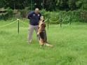 20130818jw_dog_training_P1140146