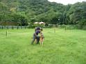 20130818jw_dog_training_P1140152