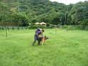 20130818jw_dog_training_P1140153