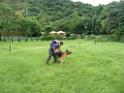 20130818jw_dog_training_P1140154