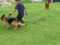 20130818jw_dog_training_P1140161