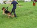 20130818jw_dog_training_P1140162